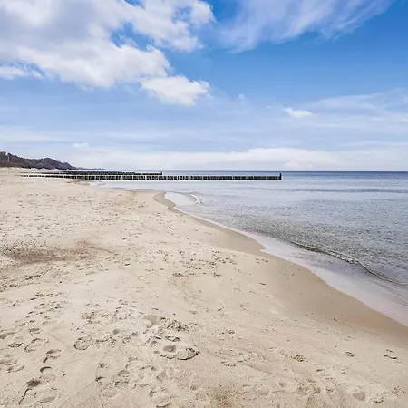 Beautiful In With Wifi * 시아노제티